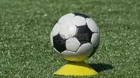 pg286娱乐平台 资讯 141542 r0b