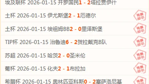 多特3-0横扫弗赖堡，哈兰德2球雷纳戴帽闪耀德甲