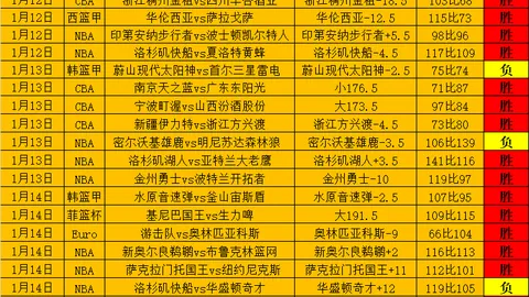 巴西杯第二场：帕桑度对决瓦斯科达迦马，专家质合分析推荐前区十